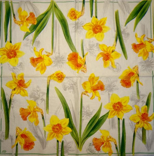 057 Daffodils - 3-ply (grün) - Ihr